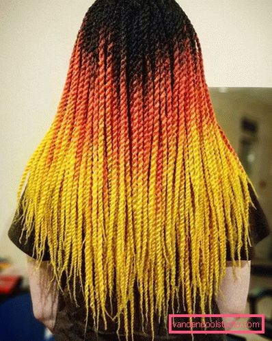 warkocze senegalskie