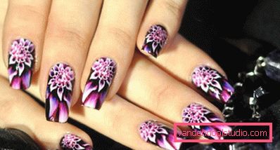 jasny design jasny design