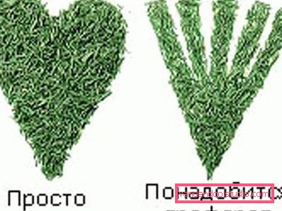 projektowanie wzorów bikini
