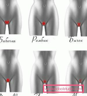 pomysły projektowe