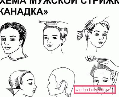 Jak nazywa się fryzura Justina Biebera?