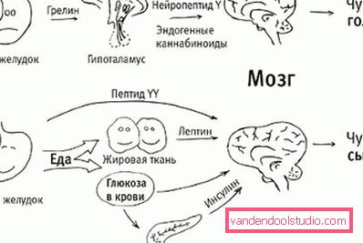 algorytm nasycenia algorytm nasycenia