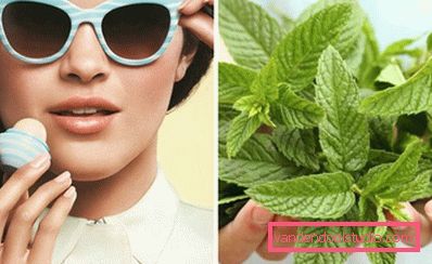 balsam miętowy balsam miętowy