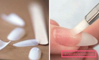 rozszerzenia nagietka na podłożu
