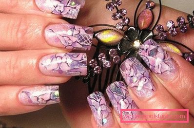 fioletowy kwiatek