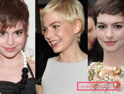 Hollywood Stars