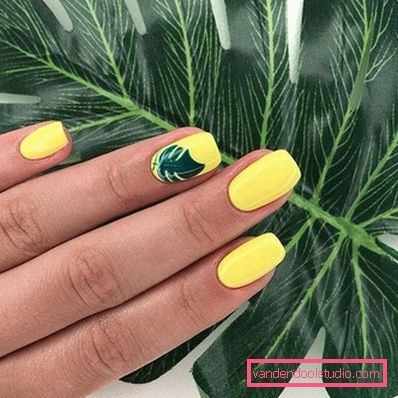 Jasny manicure 2019-2020